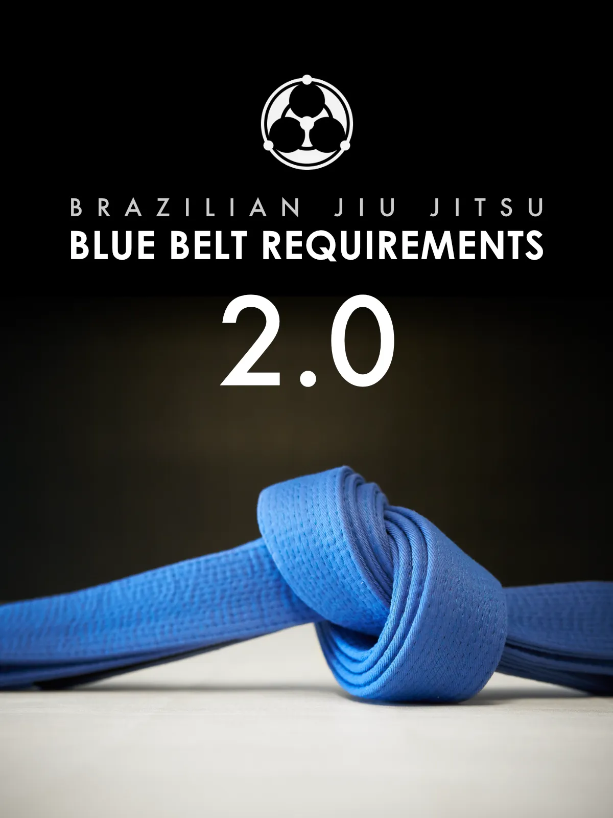 Blue Belt Requirements 2.0 by Roy Dean