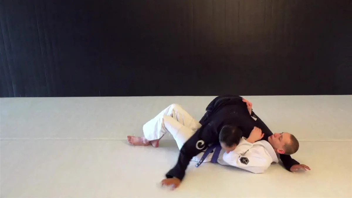 Blue Belt Requirements 2.0 by Roy Dean