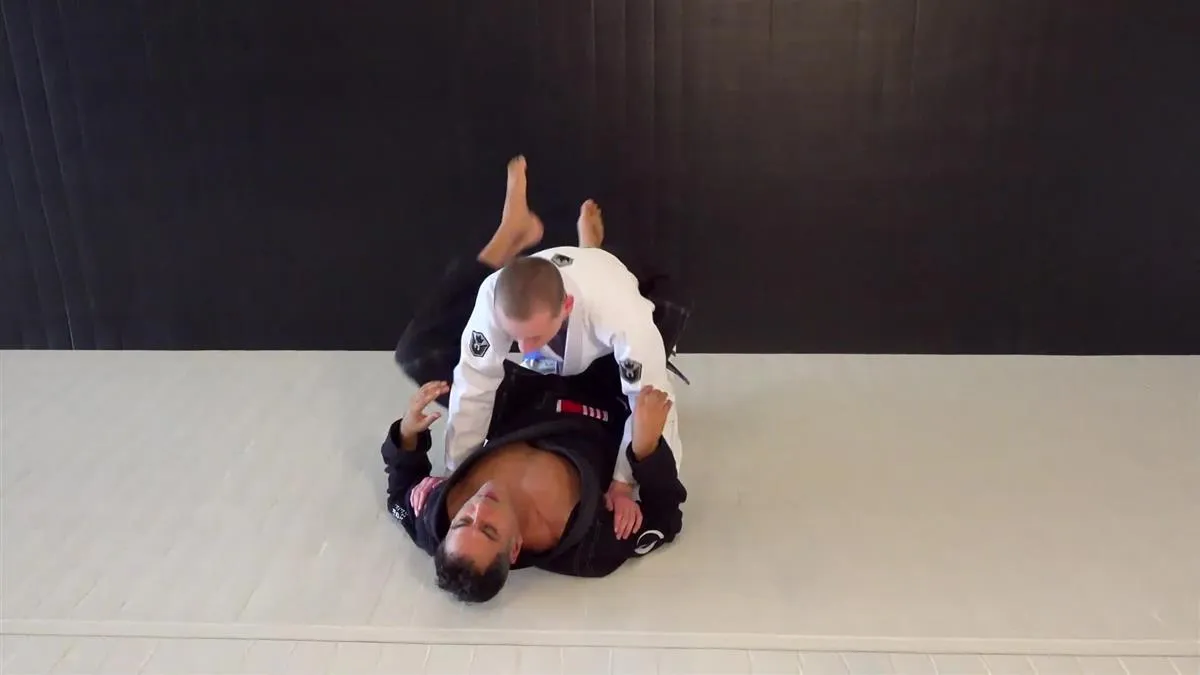 Blue Belt Requirements 2.0 by Roy Dean