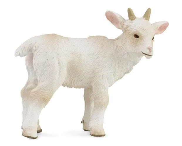 Goat Kid