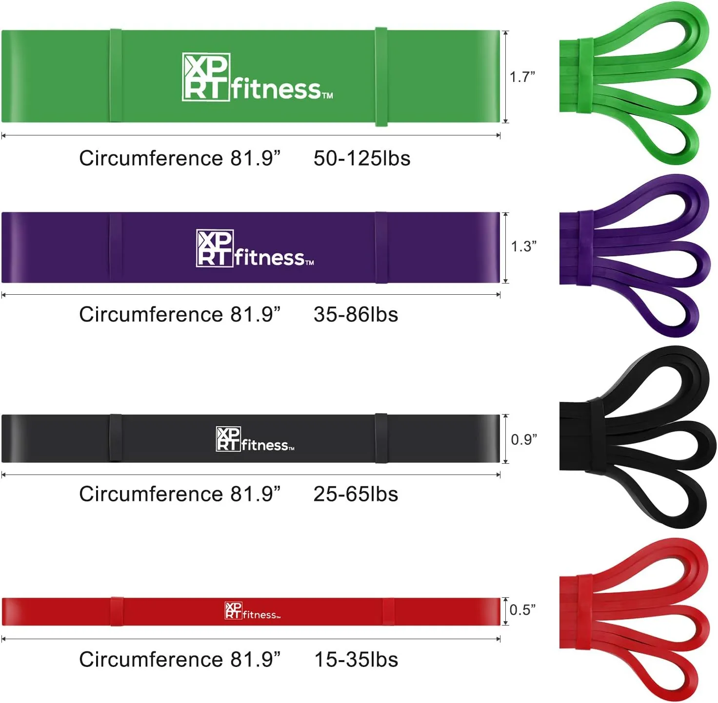 XPRT Fitness Resistance Bands Set - Pull Up Assist, Powerlifting, Stretching - Home Gym Workout Equipment for Strength Training and Physical Therapy