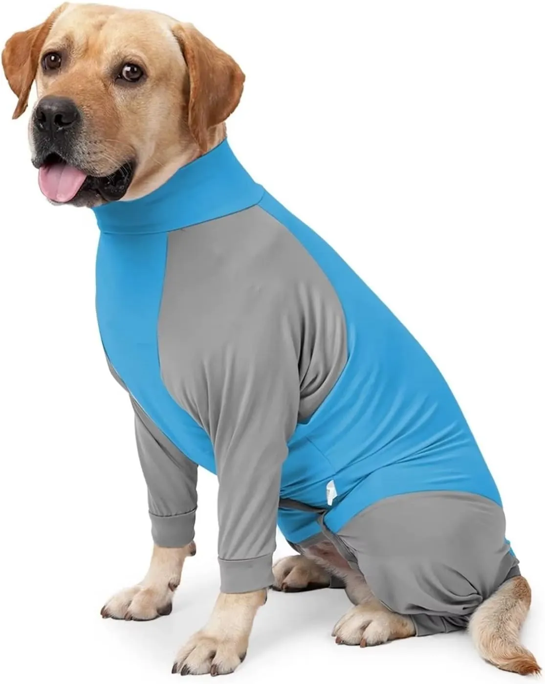 Xqpetlihai Dog Surgery Recovery Suit for Medium Large Dog Pajamas for Abdominal Wounds or Skin Diseases Dog Onesie Prevent Licking After Surgery Wear(B XXL)