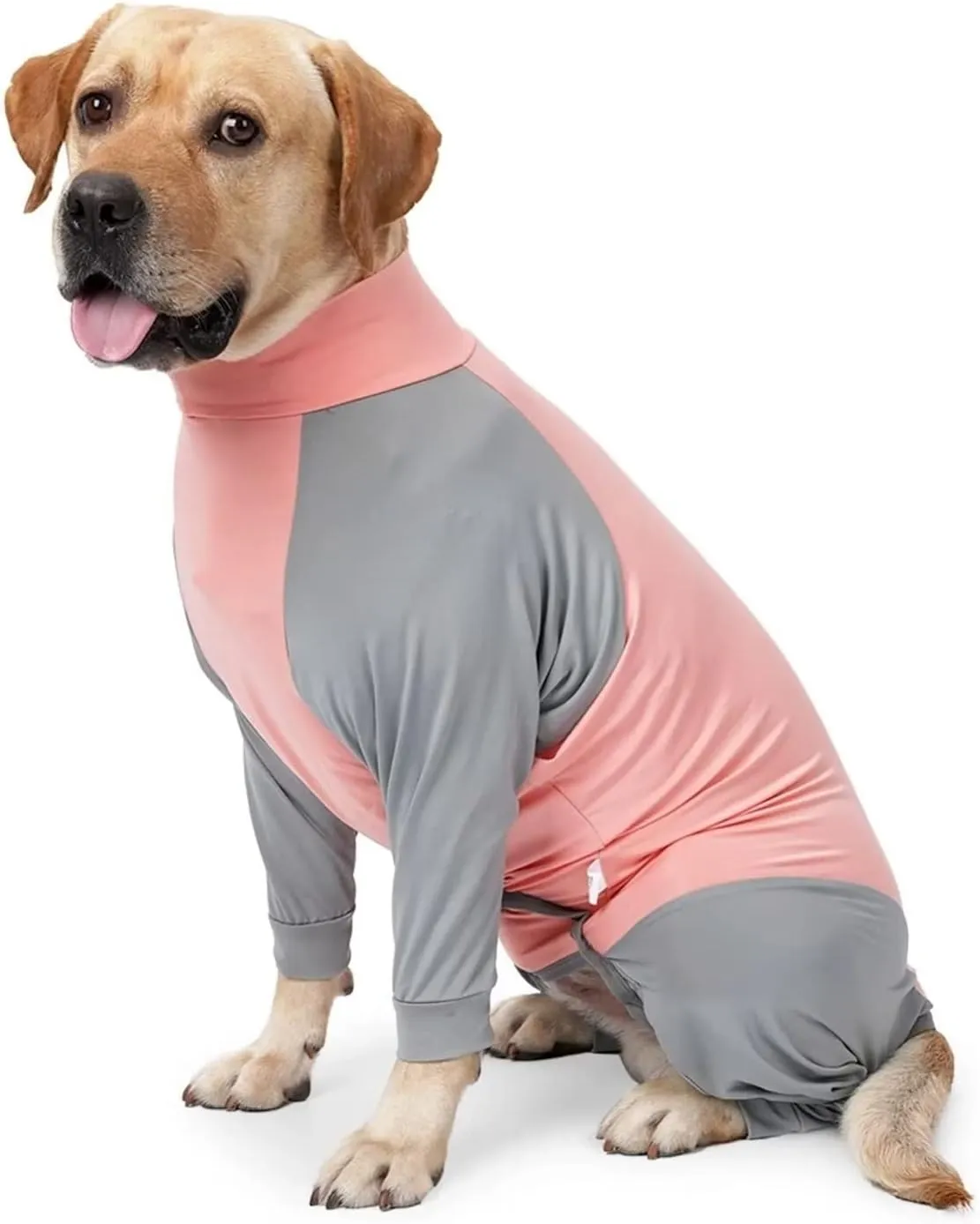 Xqpetlihai Dog Surgery Recovery Suit for Medium Large Dog Pajamas for Abdominal Wounds or Skin Diseases Dog Onesie Prevent Licking After Surgery Wear(P XS)